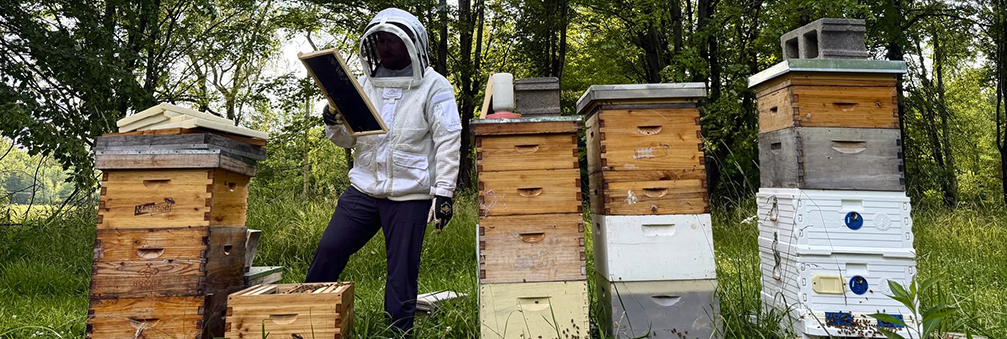 cortland ohio beekeeper with hives
